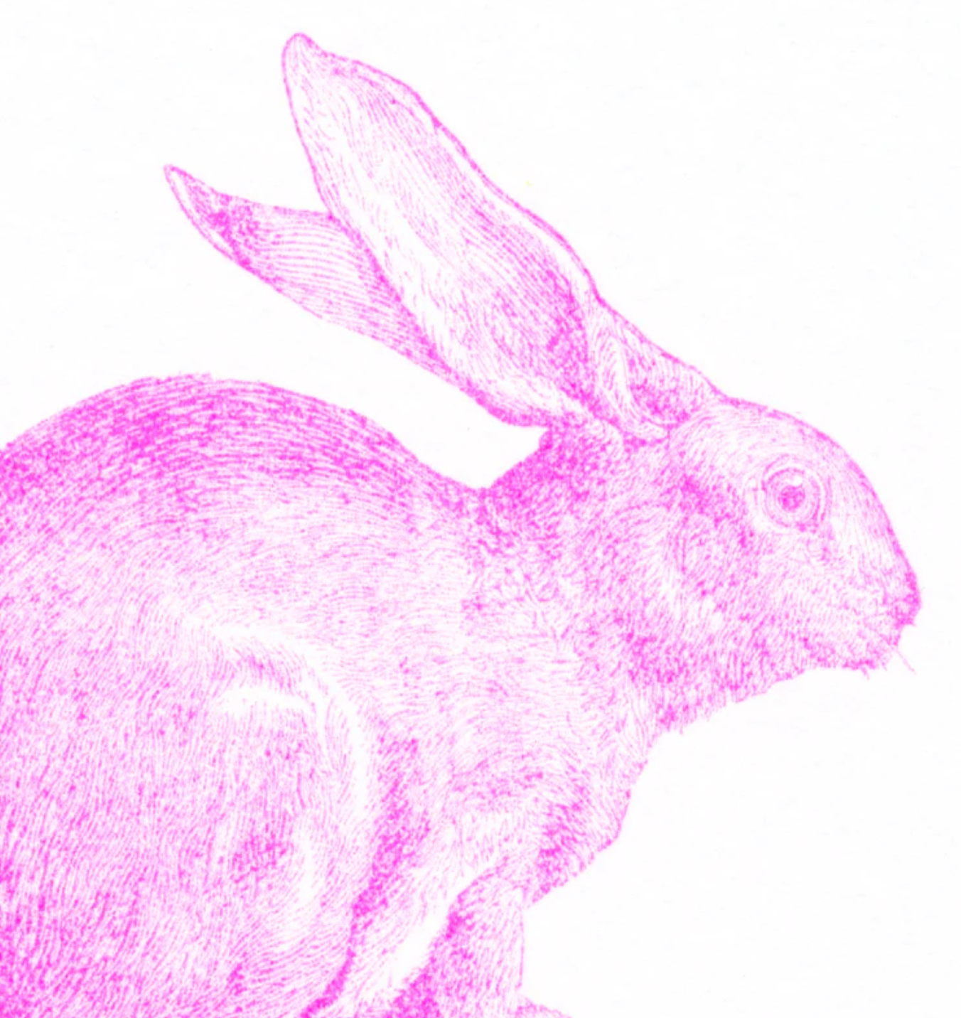 Postkartenset PINK
