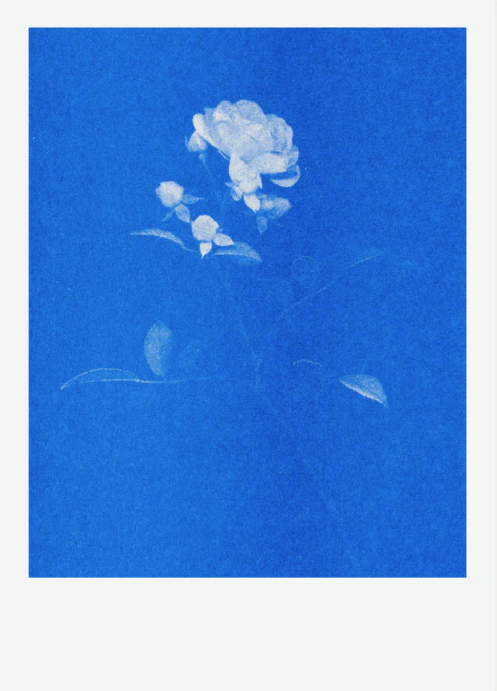 Postkartenset BLAU