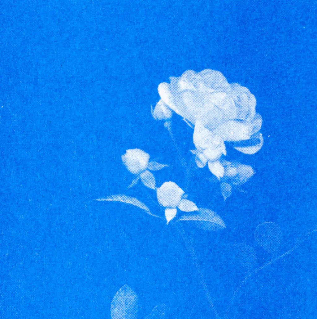 Postkartenset BLAU