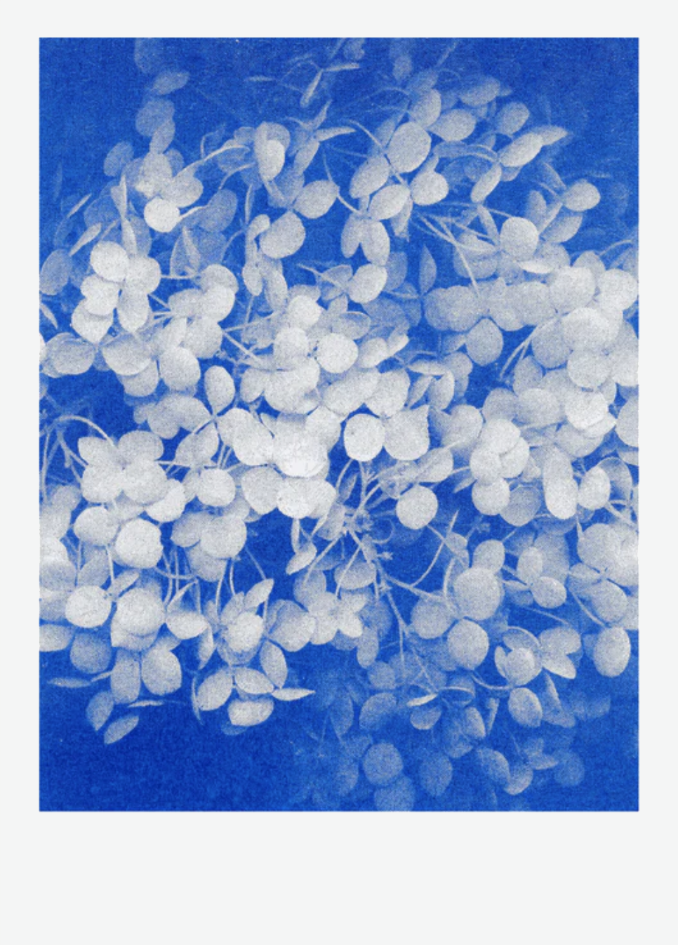 Postkartenset BLAU