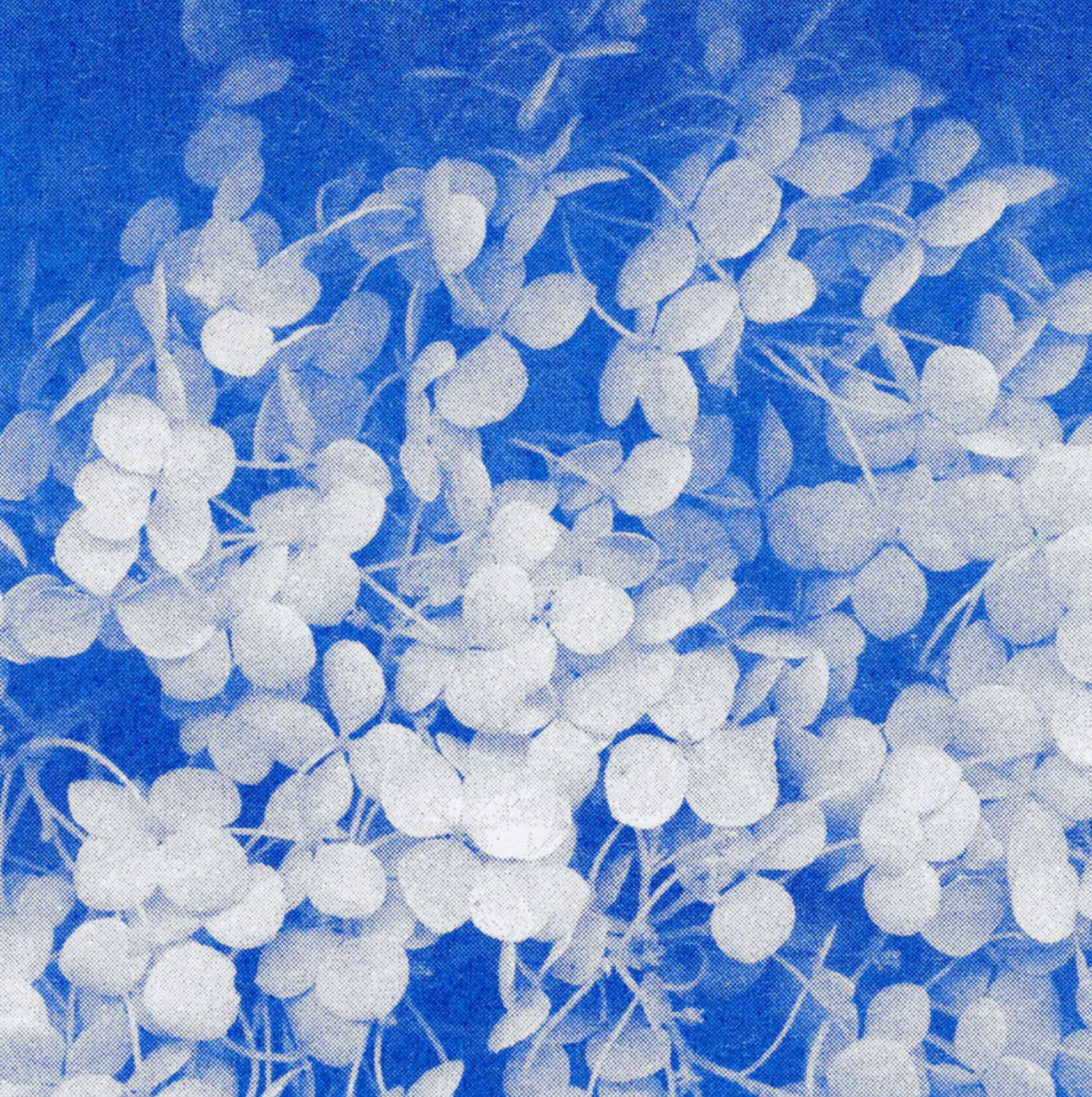 Postkartenset BLAU