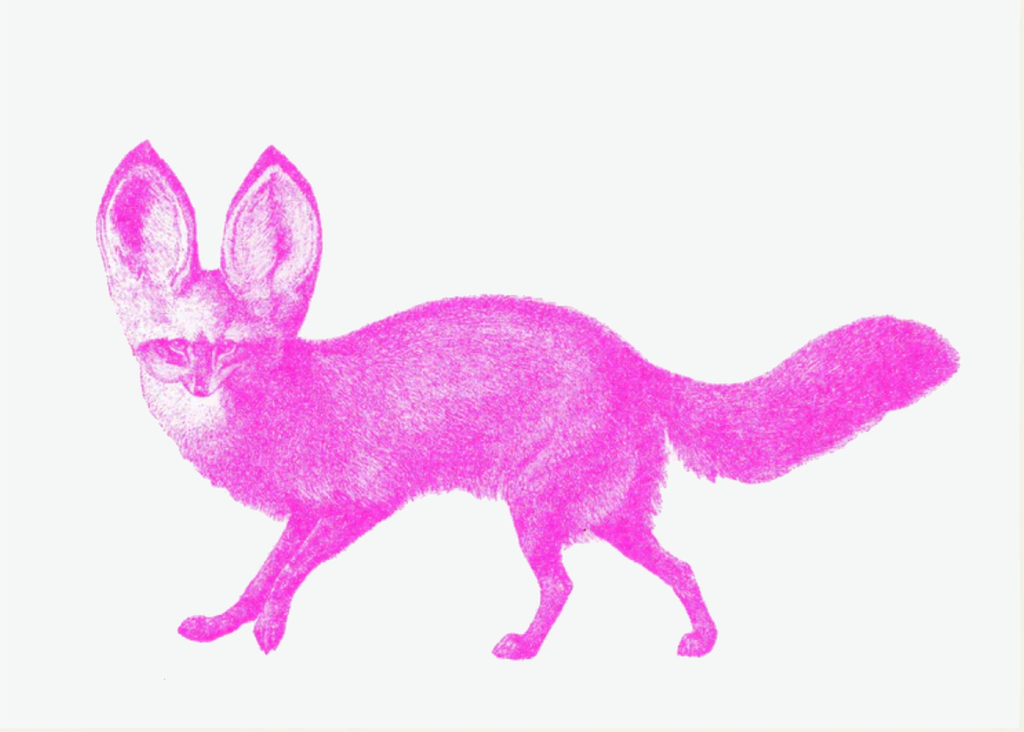 Postkartenset PINK
