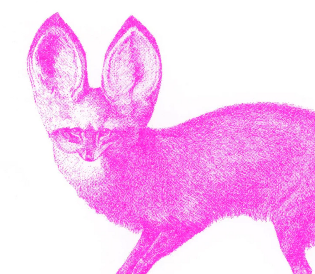 Postkartenset PINK