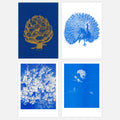Postkartenset BLAU